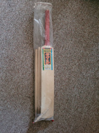 Kids cricket bat and wickets