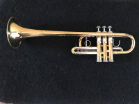 Bach Stradivarius D Trumpet