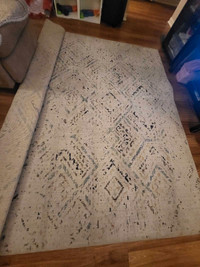 8×10 Area rug