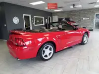 1999 Mustang GT Convertible