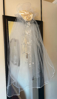 Beautiful wedding veil