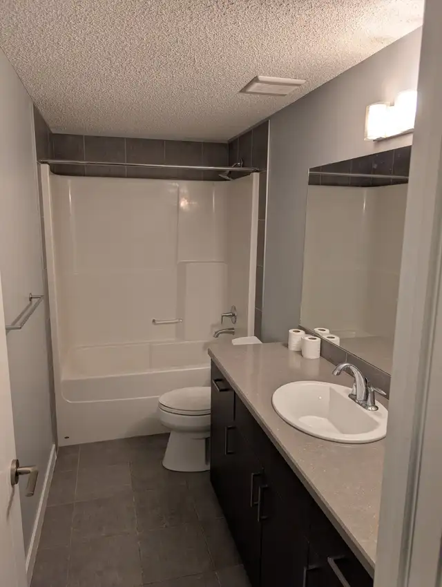 Beautifully modern 1 bedroom basement suite in Long Term Rentals in Edmonton - Image 3