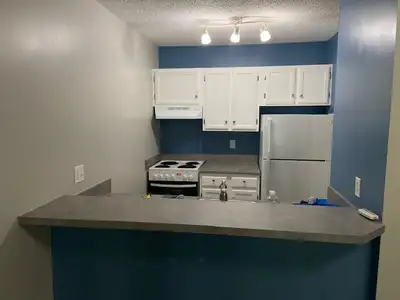 Newly renovated downtown condo for rent