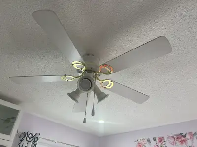 Ceiling fan with lights, View more