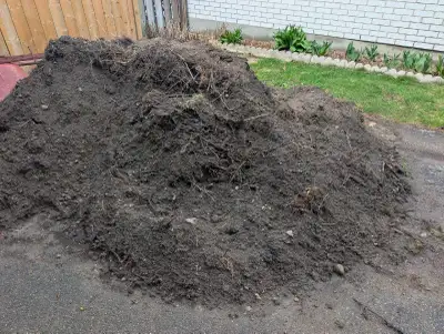 Free Fill, View more