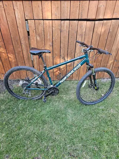 Needs a tune-up but still works well