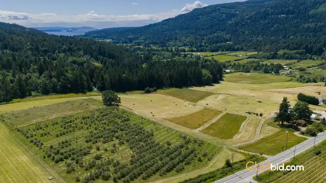 73.67 Acre Olive Farm For Sale - Salt Spring Island, BC - CLHbid in Land for Sale in Cowichan Valley / Duncan - Image 6