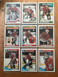 Ed Belfour (9 Hockey Card Package)