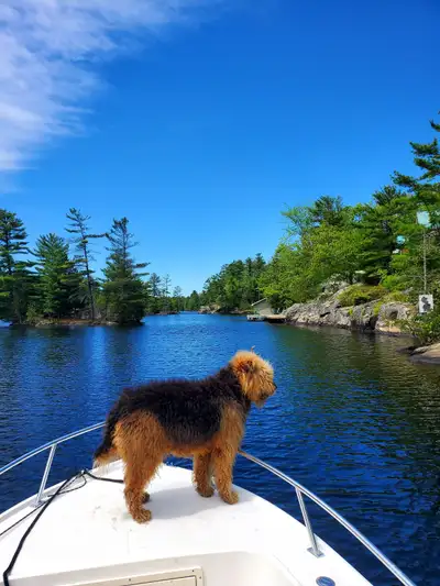 Four Season Yacht Home. Self- Sufficient, View more