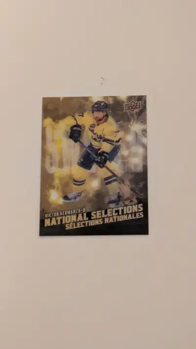 UD Tim Hortons 2025-26 National Selections Victor Hedman NS- 7, View more