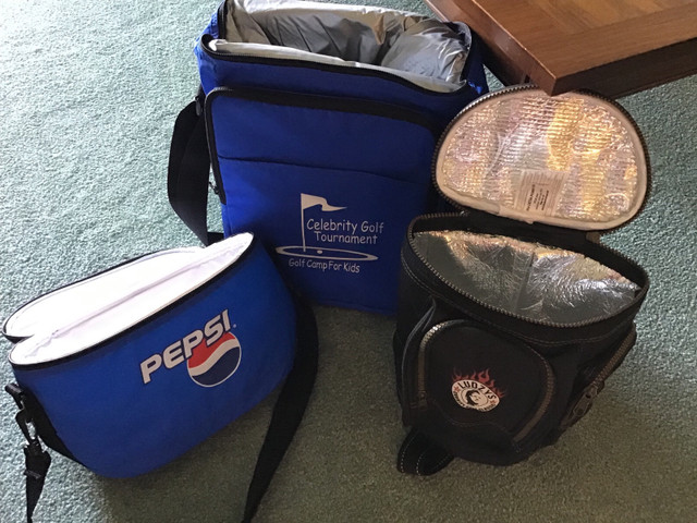 HAVE 3 NEW INSULATED CARRY BAGS in Other in La Ronge