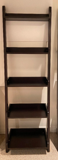 Modern Wood 5-Tier Shelf Ladder Bookcase in Dark Walnut