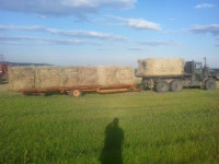 FOR SALE - LARGE GREEN FEED SQUARE BALES