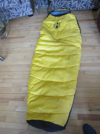 Adult Sleeping Bag, View more