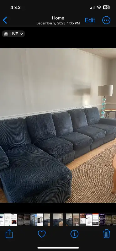 Large Older Sectional Sofa