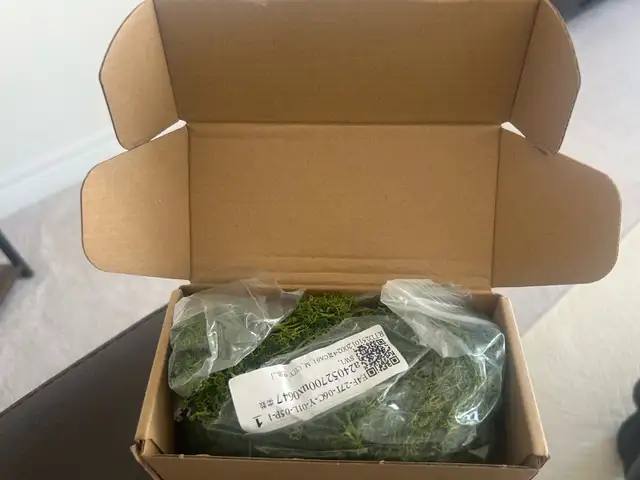 New Moss in Puerto Rico in Canada - Image 2