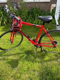 Adult Rocky Mountain large bicycle - hardly used