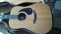 EVA Acoustic Guitar with hard case