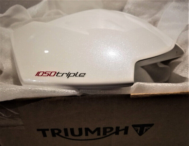 Triumph Speed Triple 1050  R /S 2016-2018 Flyscreen *NEW* in Other in City of Toronto