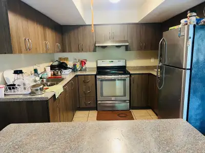 one walkout basement - room for rent