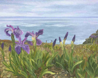 Signed original oil painting of irises of Newfoundland 