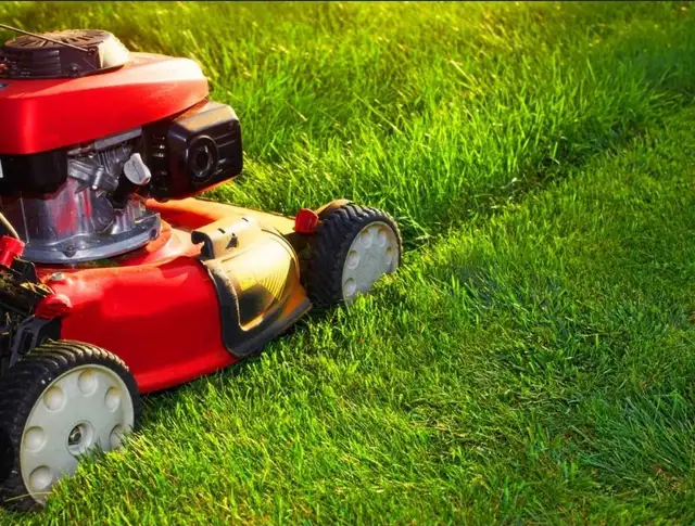 Grass cutting 502662490520954885