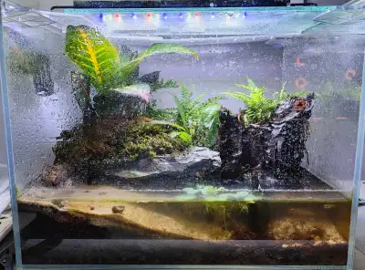 Vampire Crab 7gal Tank - Whole setup Incl. 3 Crabs, View more
