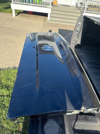 Tailgate from 2015 Dodge Ram