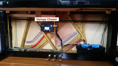 Humidity? Dryness? Your piano is feeling it.  514-409-0788, View more
