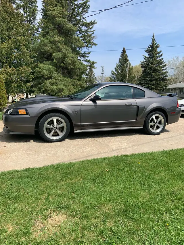 2003 Mustang Mach 1544786020042035203