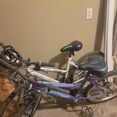 movelo and ozark trail women's bikes, View more