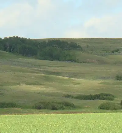 Two ully serviced 5 acre lot near Lumsden (25 minutes from Regina) where you can build your dream ho...