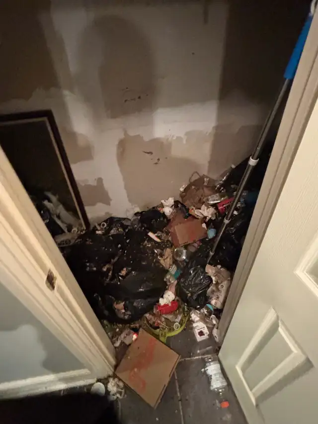 Junk removal540714185188986883