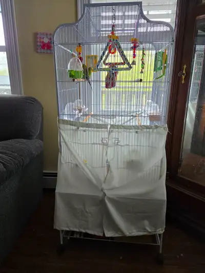 These 2 budgerigar birds need to be rehomed. They are less then 2 years old, come with a cage, food...