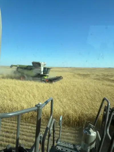 Farm Career Opportunity, View more