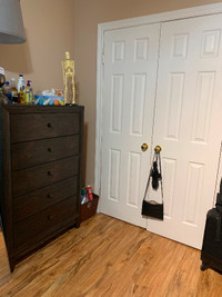 Female roommate wanted
