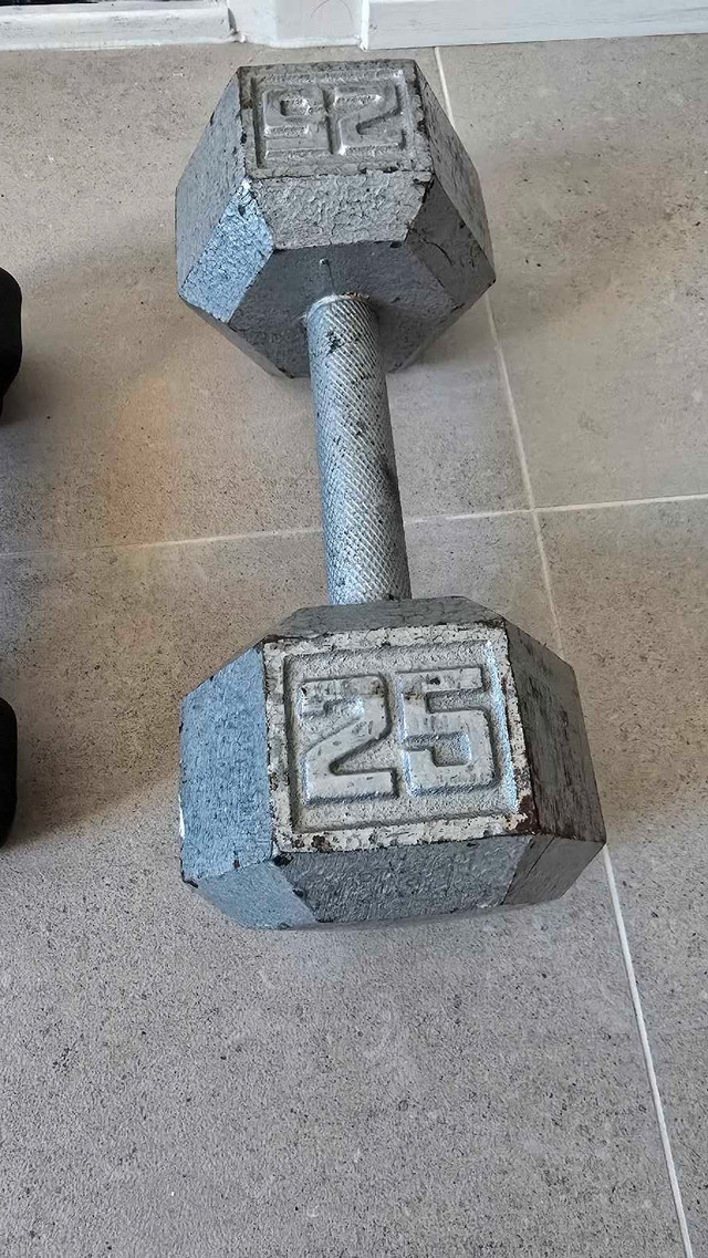 One 25lbs one 10 lbs weight in Exercise Equipment in Ottawa - Image 2