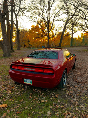 2010 Dodge Challenger SXT