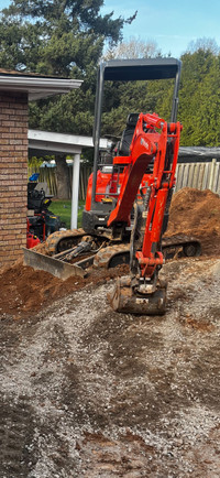 Mini Excavator for hire