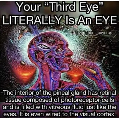 massaging , View more