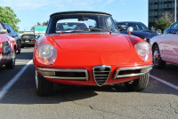 Alfa Romeo Cars and Parts
