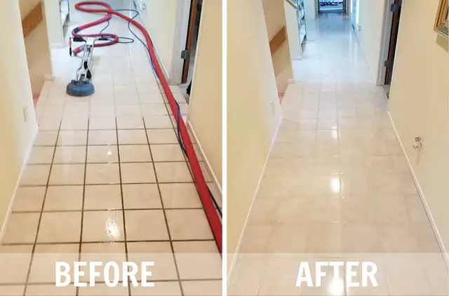 Comfort House Carpet and Couch Cleaning62863728247681124