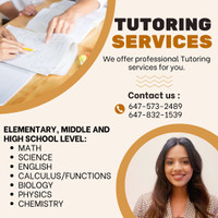 One-on-One Tutoring Services (online learning available)