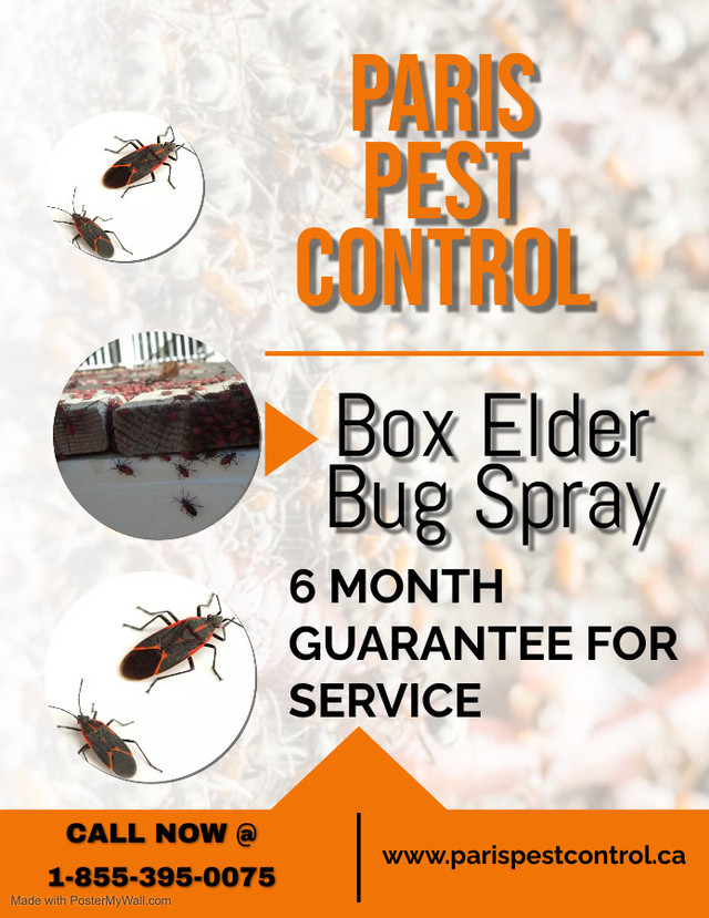 Pest Control Service in Other in Hamilton - Image 4