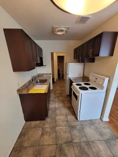 Cozy Bachelor Suite - Elmwood