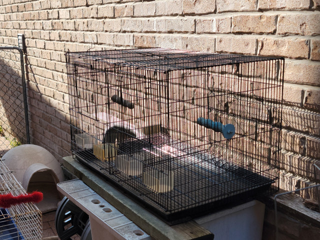 Breeding Cage for Canaries, Budgies, Lovebirds, Conures, etc... in Birds for Rehoming in Markham / York Region - Image 4