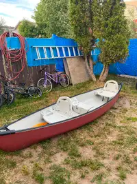 For sale canoe