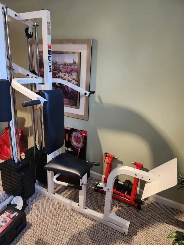 Weider Pro 9635 3-station home gym with attachments63013092585475121
