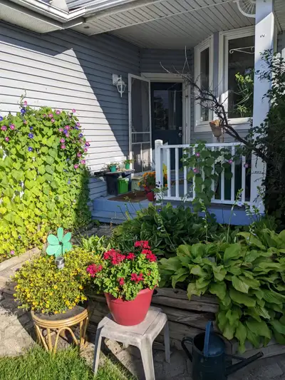 Room to rent for single person (not suitable for couple) in townhome in Kemptville. You would be sha...