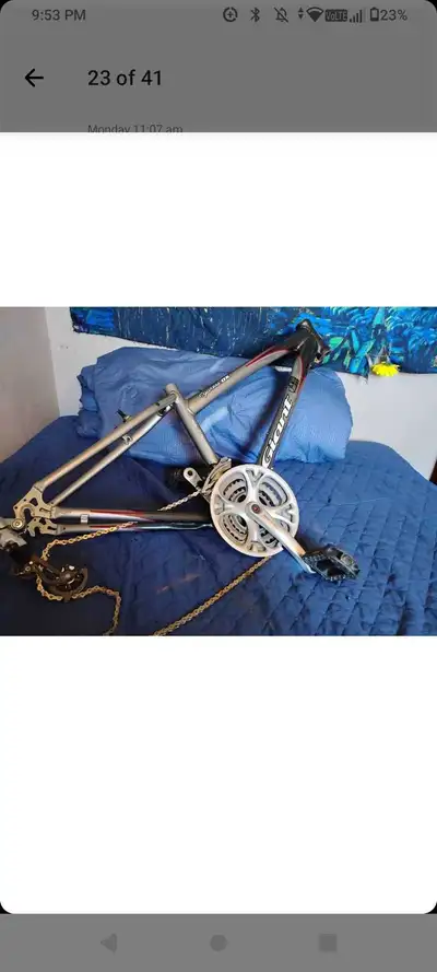 Giant Cypress DX Frame, View more